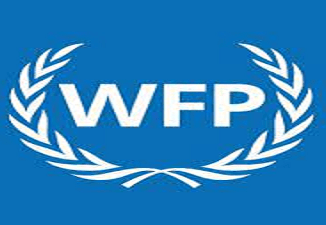 WFP Vacancies