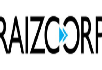 Raizcorp Vacancies