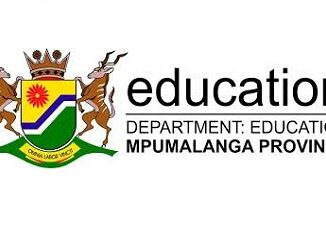 Mpumalanga Department of Education Foreman Vacancies