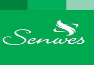 Senwes Auditor Vacancies