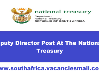 National Treasury Vacancies