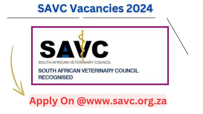 SAVC Vacancies 2024: Apply Jobs Career X3 Job Opportunities at @www.savc.org.za