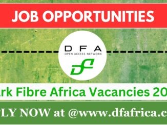 Dark Fibre Africa Vacancies 2024