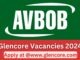 AVBOB Vacancies 2024